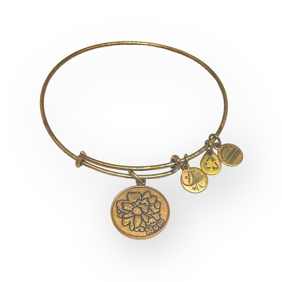 Alex and Ani ❤︎︎ Because I Love You Mom Expandable Bangle Bracelet ❤︎︎ Gold ❤︎︎ - Picture 3 of 16